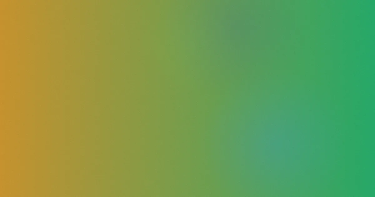 性生活的视频是什么？